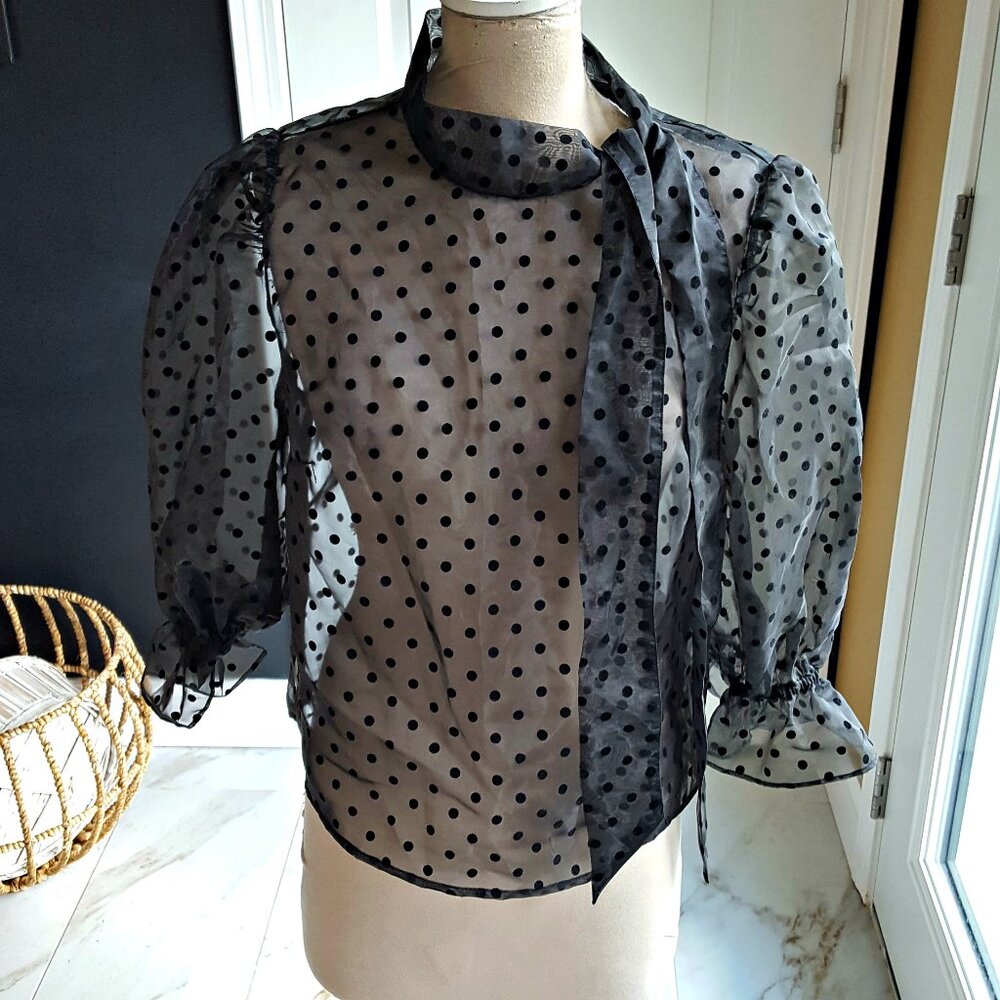 NWOT! SHEER Tafetta POLKA DOT BLOUSE
